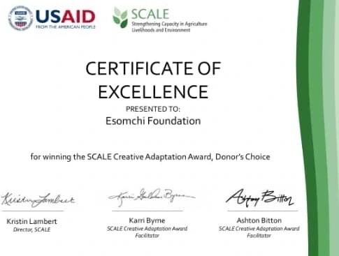 Esomchi Foundation wins USAID’s SCALE Creative Adaptation Donor’s Choice Award 2022